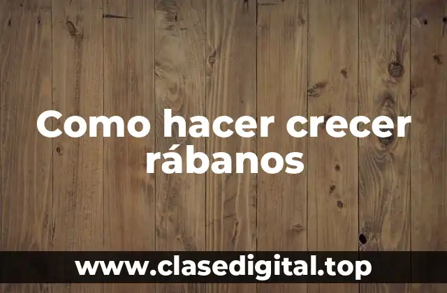 Como hacer crecer rábanos