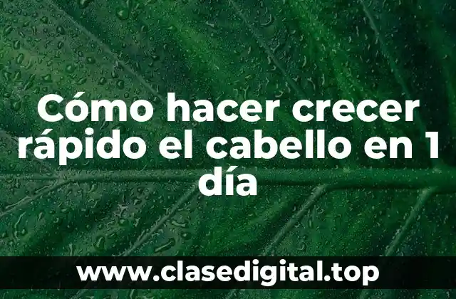 Cómo hacer crecer rápido el cabello en 1 día