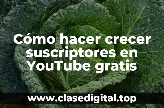 Cómo hacer crecer suscriptores en YouTube gratis