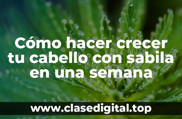 Cómo hacer crecer tu cabello con sabila en una semana