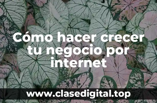 Cómo hacer crecer tu negocio por internet
