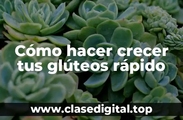 ¿Qué son los glúteos y cómo se pueden desarrollar?