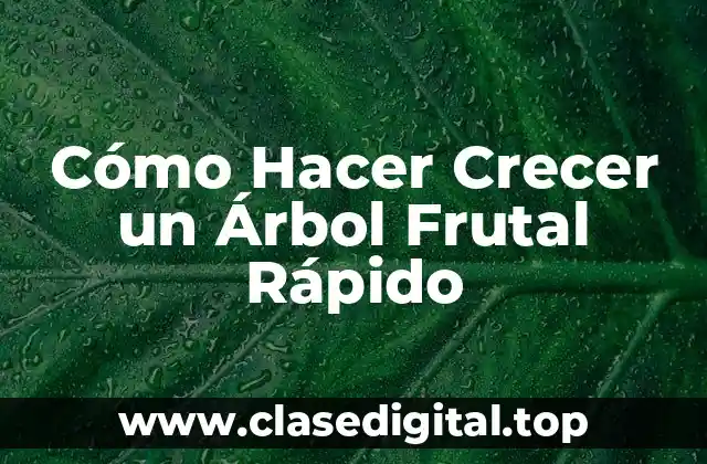Cómo Hacer Crecer un Árbol Frutal Rápido