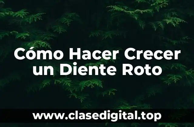 ¿Qué es un Diente Roto y Cómo se Repara?