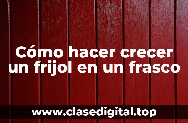 Cómo hacer crecer un frijol en un frasco