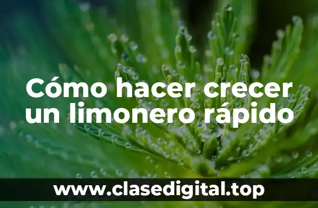 ¿Qué es un limonero y cómo se cuida?