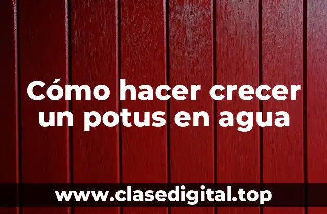 Cómo hacer crecer un potus en agua