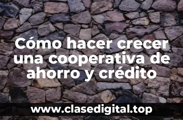 ¿Qué es una cooperativa de ahorro y crédito?