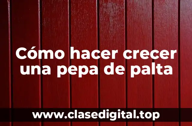 Cómo hacer crecer una pepa de palta