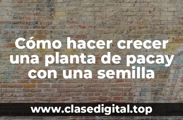 Cómo hacer crecer una planta de pacay con una semilla