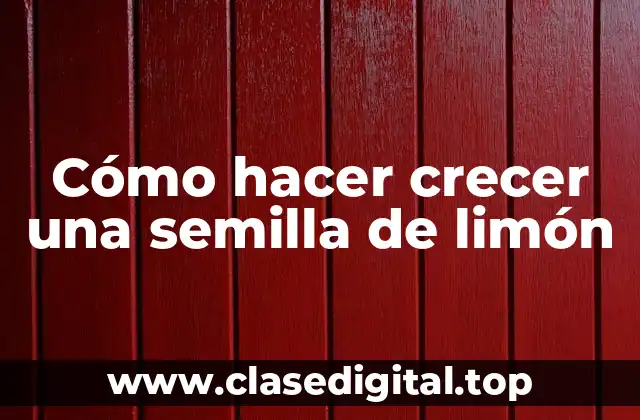 Cómo hacer crecer una semilla de limón