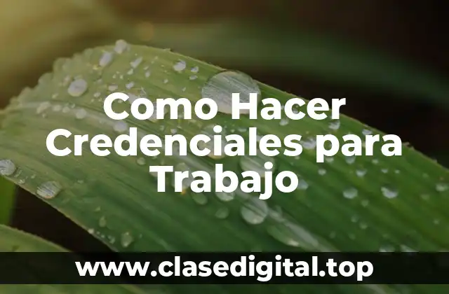 ¿Qué son las Credenciales para Trabajo y para Qué Sirven?