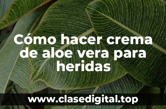 Cómo hacer crema de aloe vera para heridas