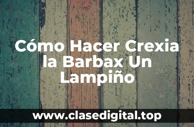 Cómo Hacer Crexia la Barbax Un Lampiño