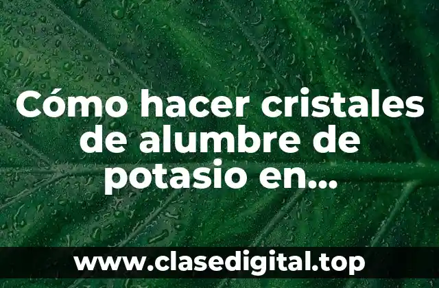 Cómo hacer cristales de alumbre de potasio en laboratorios