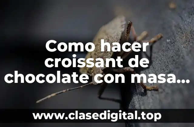 Como hacer croissant de chocolate con masa de hojaldre