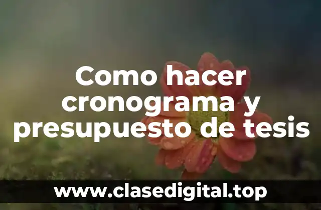 Como hacer cronograma y presupuesto de tesis