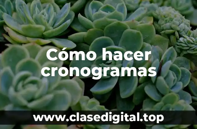 Cómo hacer cronogramas