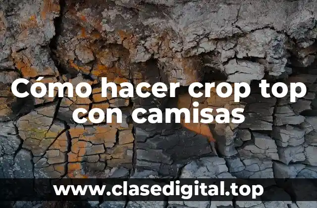 Cómo hacer crop top con camisas