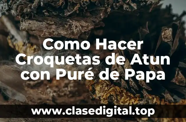 Como Hacer Croquetas de Atun con Puré de Papa