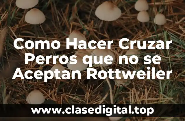 Como Hacer Cruzar Perros que no se Aceptan Rottweiler