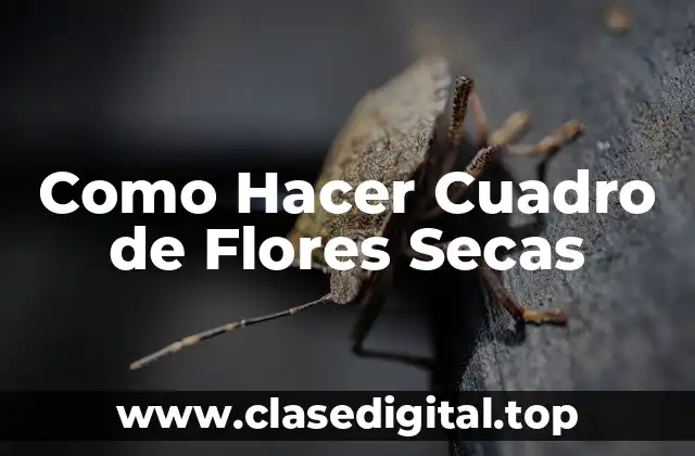 Como Hacer Cuadro de Flores Secas