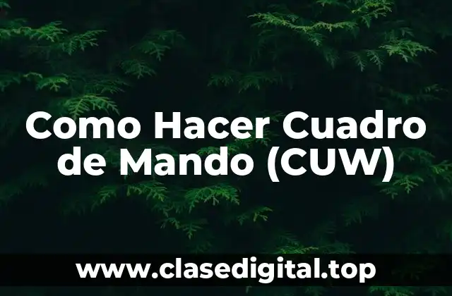 ¿Qué es un Cuadro de Mando (CUW)?