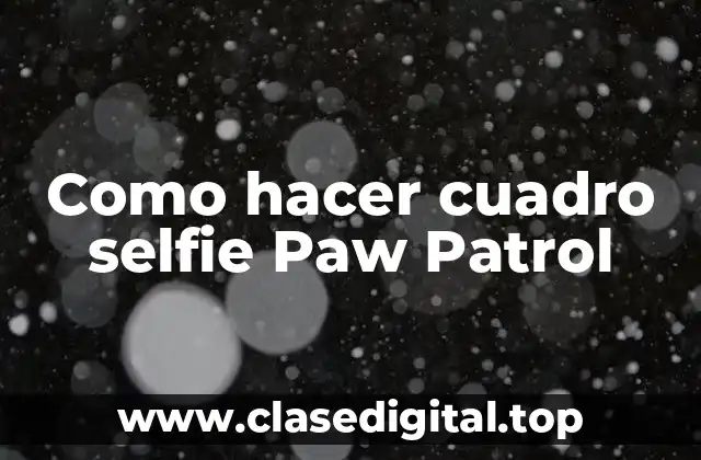 Como hacer cuadro selfie Paw Patrol