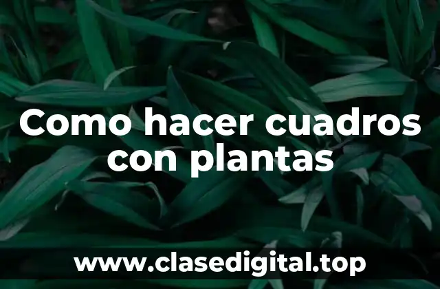 Como hacer cuadros con plantas