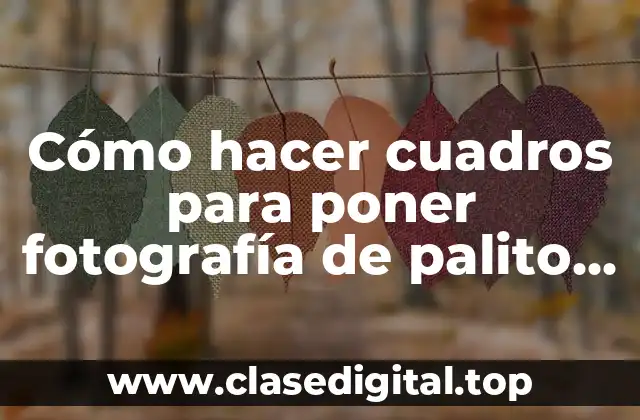 Cómo hacer cuadros para poner fotografía de palito de picole