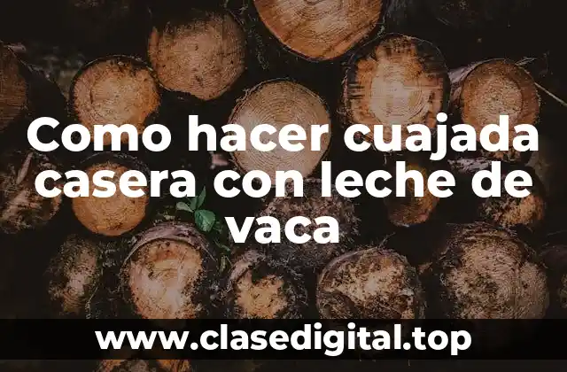 Como hacer cuajada casera con leche de vaca