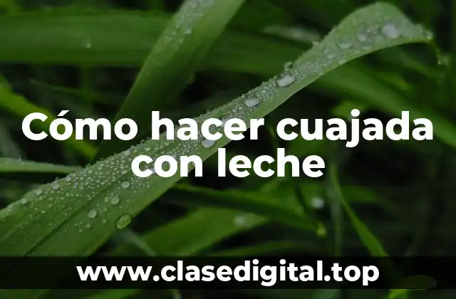 Cómo hacer cuajada con leche