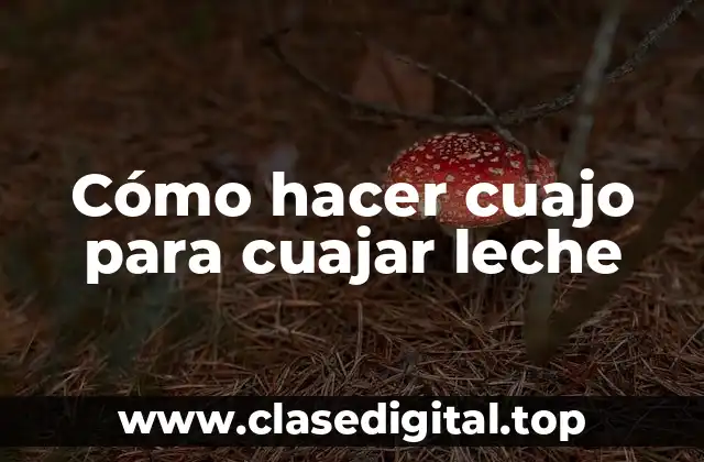 Cómo hacer cuajo para cuajar leche