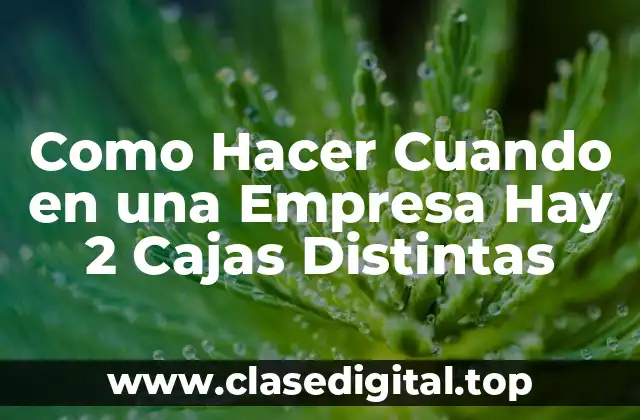Como Hacer Cuando en una Empresa Hay 2 Cajas Distintas