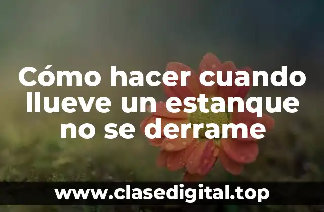 Cómo hacer cuando llueve un estanque no se derrame