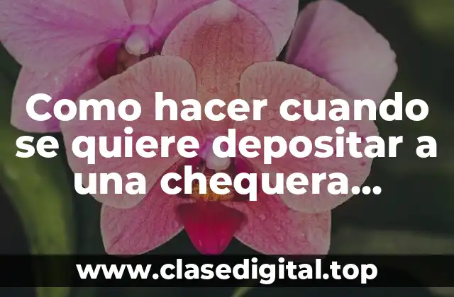 Como hacer cuando se quiere depositar a una chequera electrónica