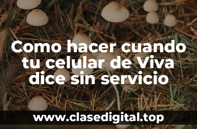 Como hacer cuando tu celular de Viva dice sin servicio