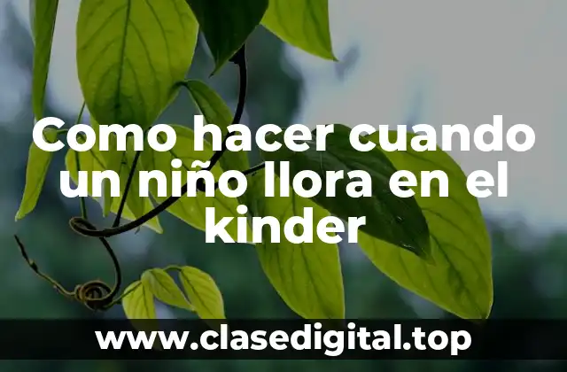 Como hacer cuando un niño llora en el kinder