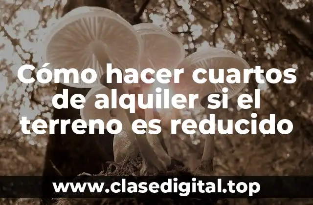 Cómo hacer cuartos de alquiler si el terreno es reducido