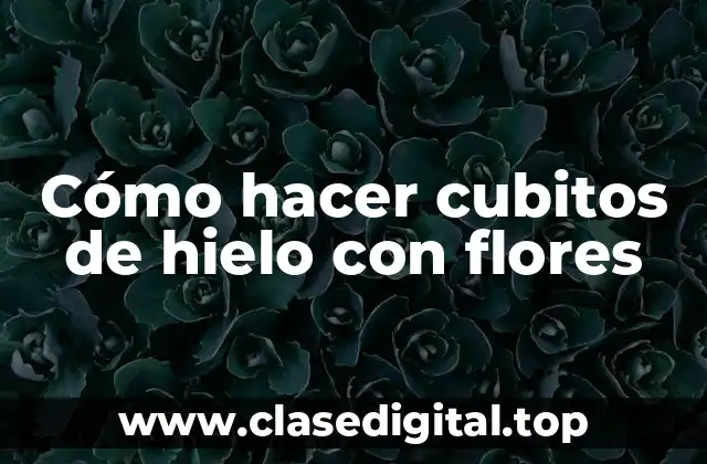 Cómo hacer cubitos de hielo con flores
