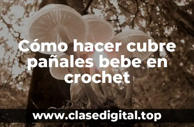 Cómo hacer cubre pañales bebe en crochet