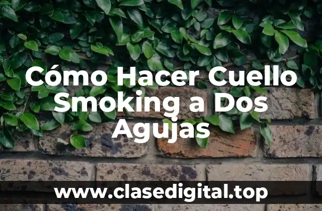 Cómo Hacer Cuello Smoking a Dos Agujas