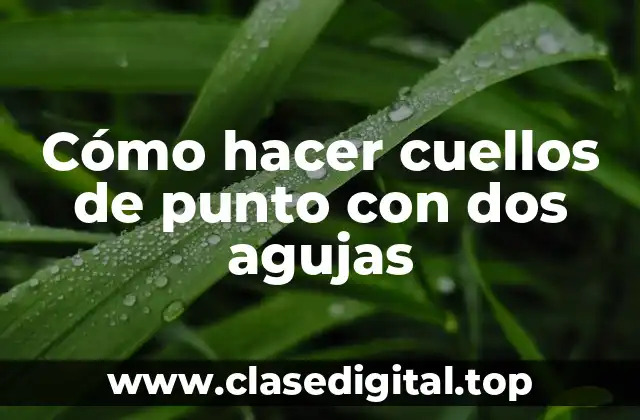 Cómo hacer cuellos de punto con dos agujas