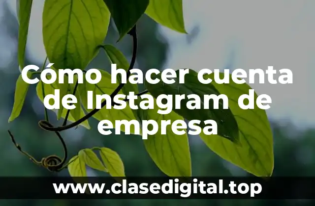 Cómo hacer cuenta de Instagram de empresa