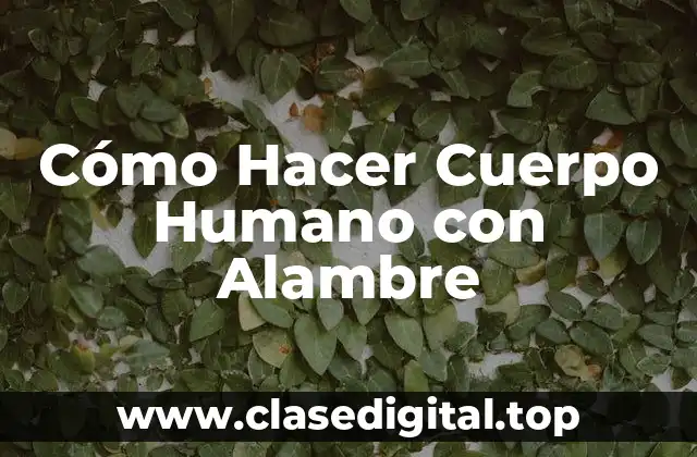 Cómo Hacer Cuerpo Humano con Alambre