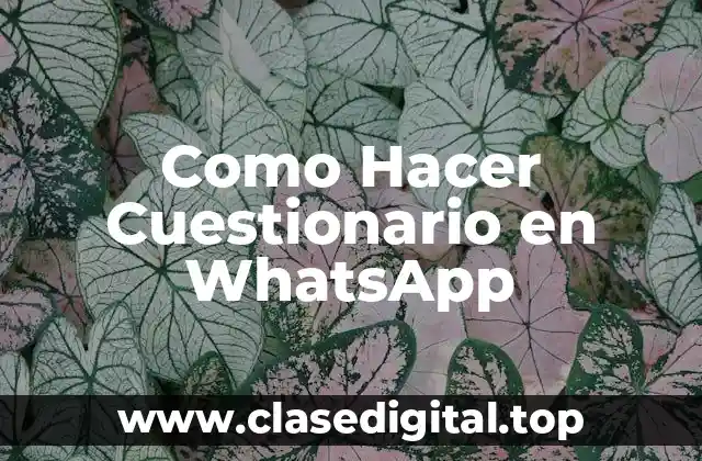 Como Hacer Cuestionario en WhatsApp