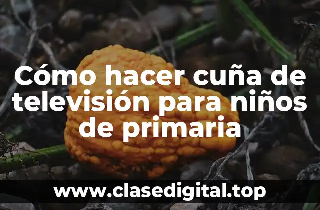 Cómo hacer cuña de televisión para niños de primaria