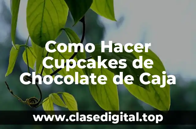Como Hacer Cupcakes de Chocolate de Caja