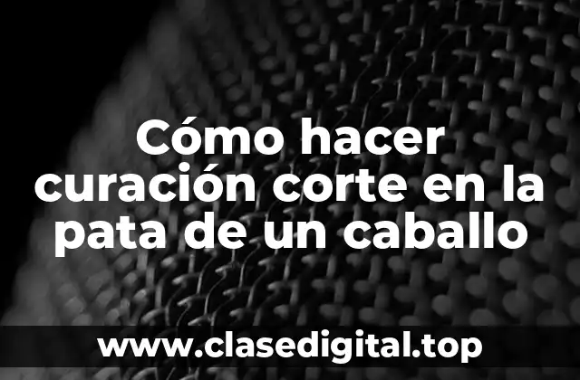 Corte en la pata de un caballo