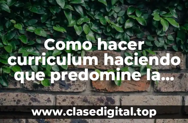 Como hacer curriculum haciendo que predomine la experiencia